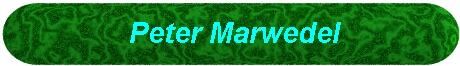 Peter Marwedel